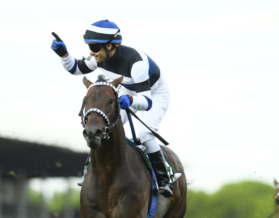 Photo of El Kodigo is courtesy of Turf Diario.