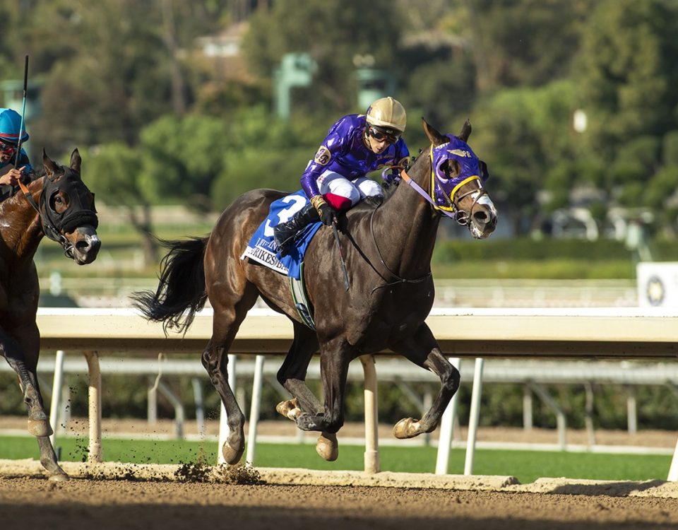 J B Strikes Back - Laffit Pincay Jr. Stakes G2 - Benoit Photo