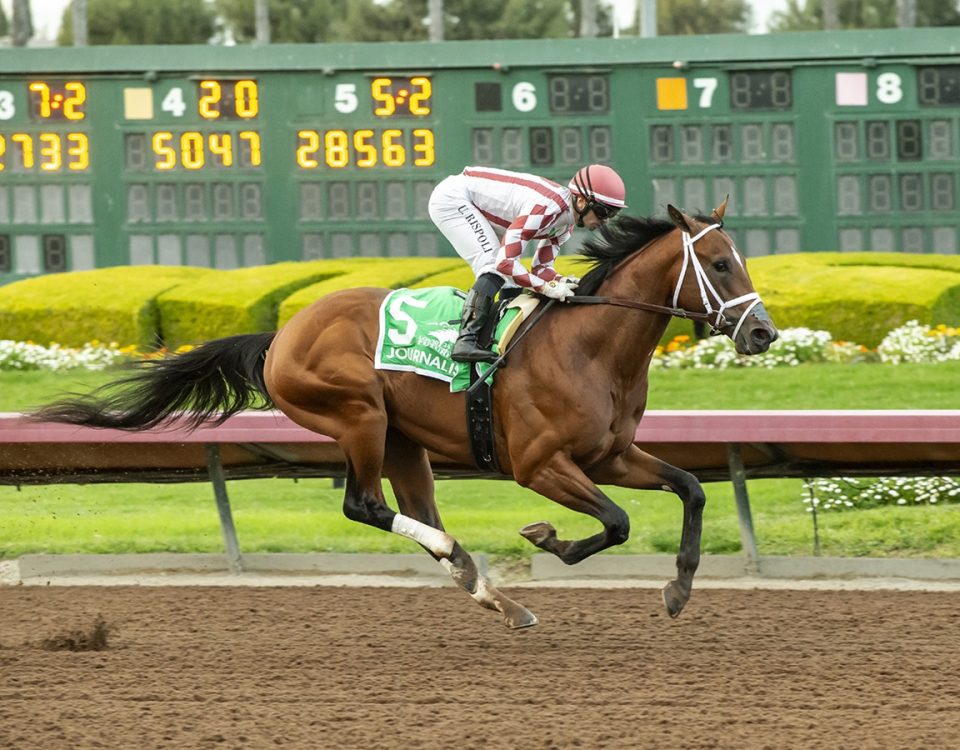 Journalism - Los Alamitos Futurity G2 - Benoit Photo