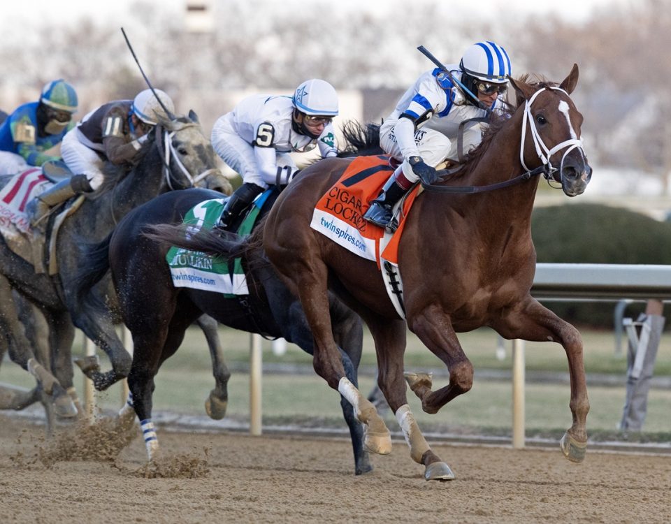 Locked - Cigar Mile G2 - DRF Barbara Livingston