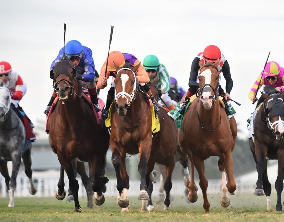 Major Dude - Ft. Lauderdale Stakes G2T - Ryan Thompson/Coglianese Photo