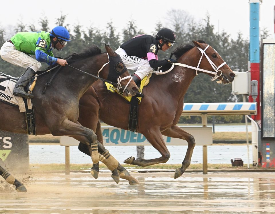 Maximus Meridius - Gravesend Stakes - Coglianese Photo