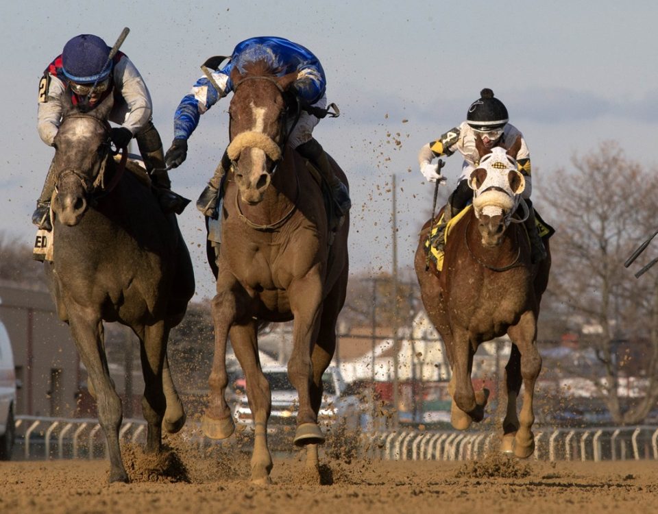 Poster - Remsen Stakes G2 - DRF Barbara Livingston