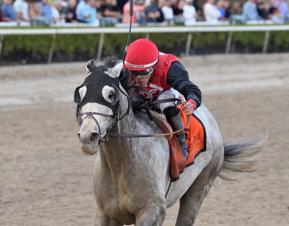 Rocket Can - Harlan's Holiday G3 - Ryan Thompson/Coglianese Photo