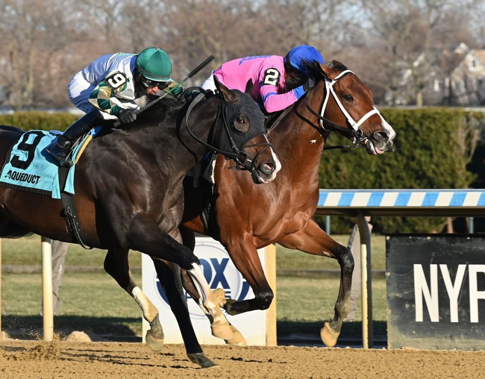 Sacrosanct - NYSS Great White Way Div - Coglianese Photo