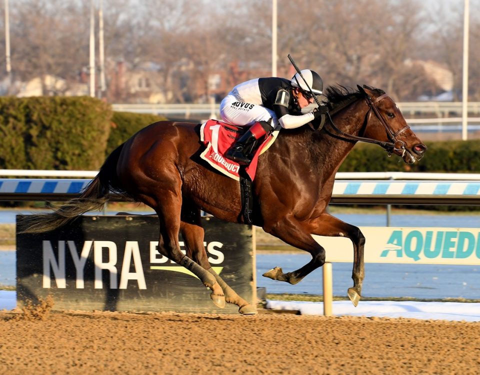 Stonewall Star - Bay Ridge Stakes - Coglianese Photo