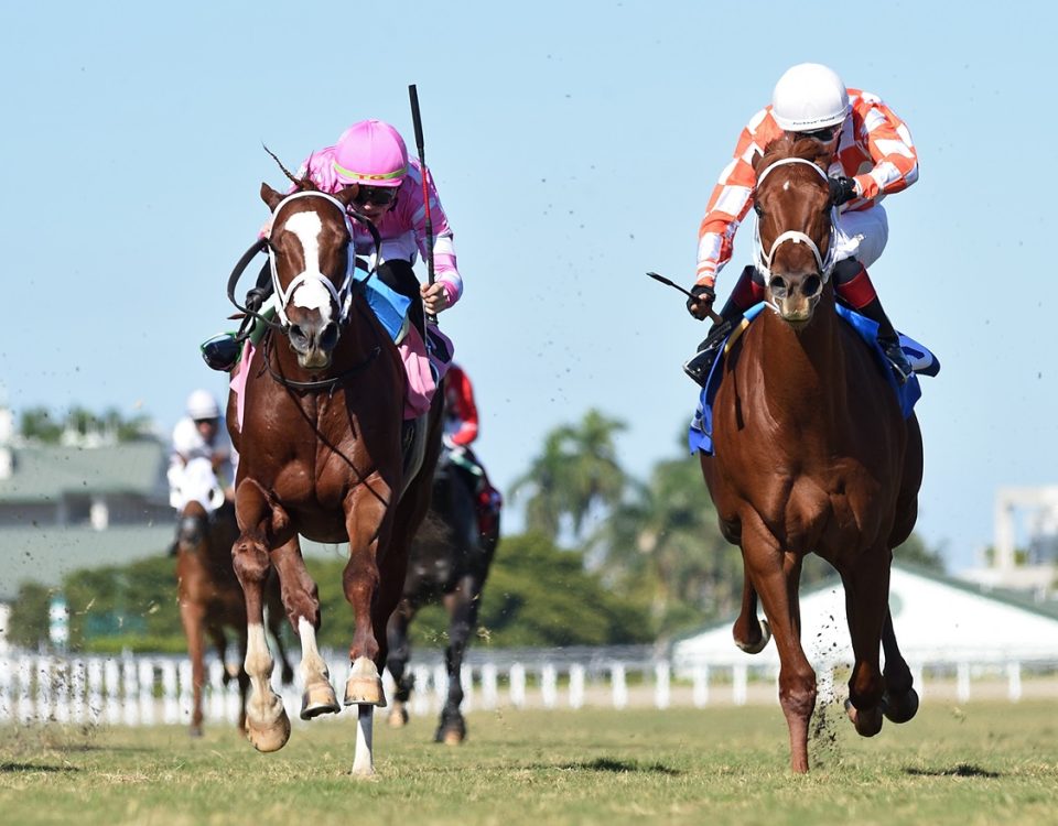 Turf action - Ryan Thompson/Coglianese Photo