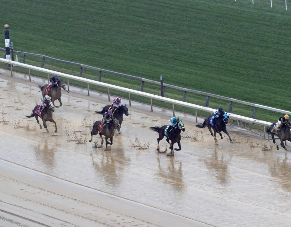 Aqueduct Scenic Rain - DRF Barbara Livingston