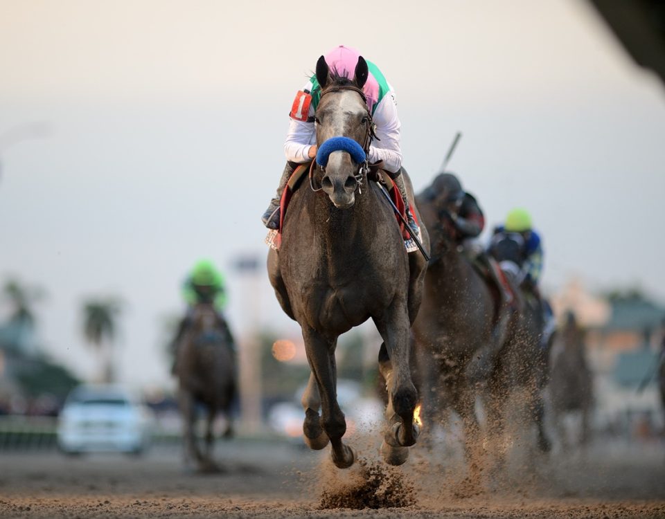 Arrogate - Pegasus World Cup 2017 - Coglianese Photo