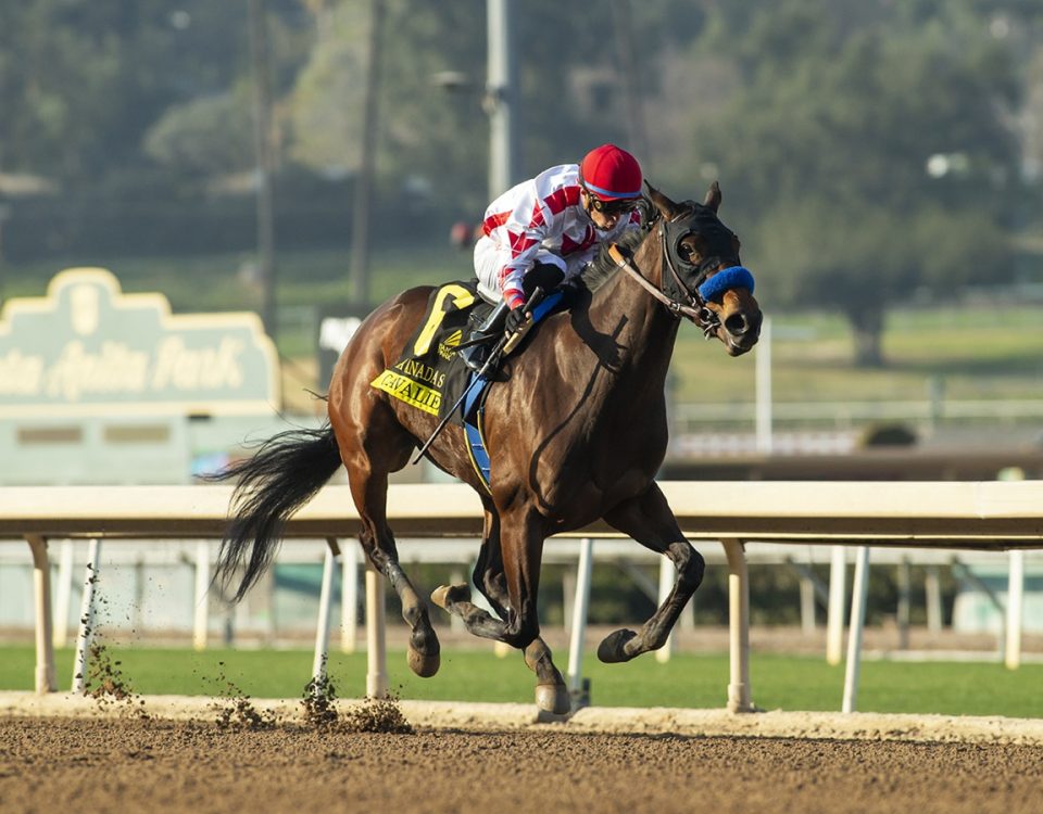 Cavalieri - La Canada Stakes - Benoit Photo