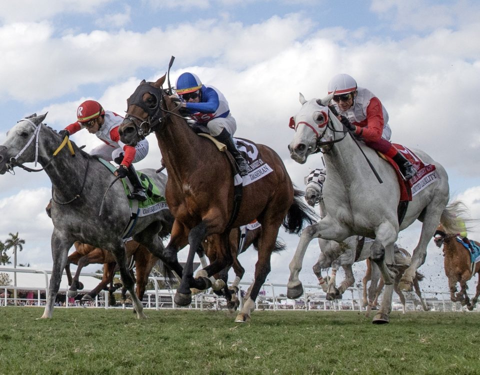 Pegasus World Cup day, January 25, 2025, Gulfstream Park - Photo Barbara D. Livingston - DRF