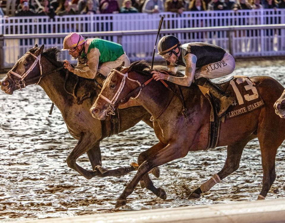 Disco Time - Lecomte Stakes - Hodges Photography / Amanda Hodges Weir