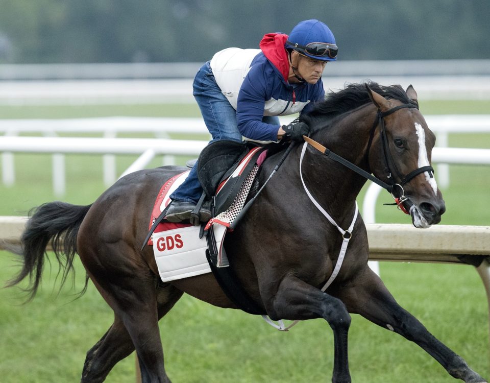 Ferocious y Javier Castellano. Photo Barbara D. Livingston - Daily Racing Form