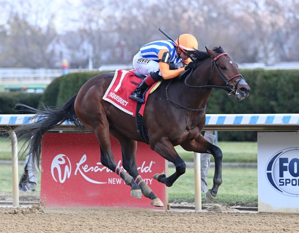 Georgia Magic - Coglianese Photo