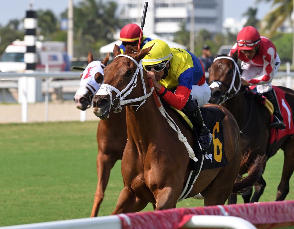 Great Venezuela - Foto Ryan Thompson - Coglianese Photo