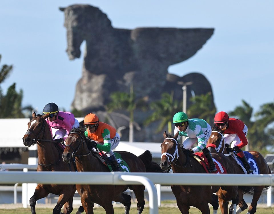 Gulfstream Pegasus scenic - Ryan Thompson/Coglianese Photo