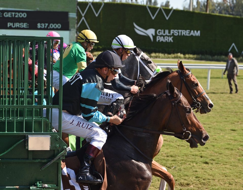 Gulfstream Turf Scenic - Ryan Thompson Coglianese Photo