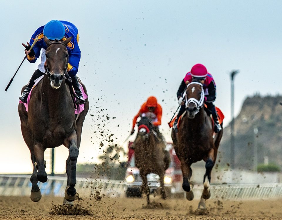 In the Air Tonight - California Association Stakes - Benoit Photo