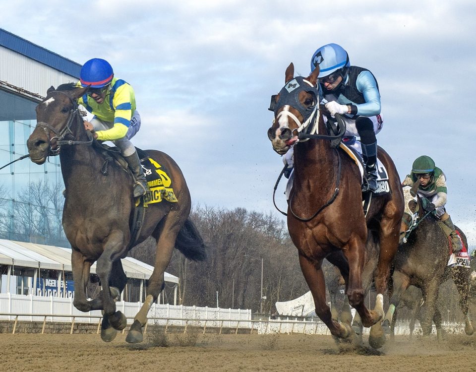 Ms Buchero - What A Summer Stakes - Jerry Dzierwinsky