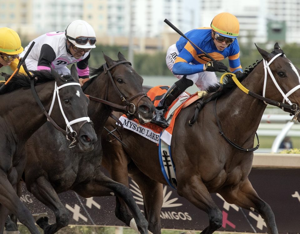 Mystic Lake - Inside Information G2 - DRF Barbara Livingston