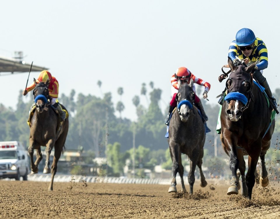 Silent Law - Anoakia Stakes - Benoit Photo