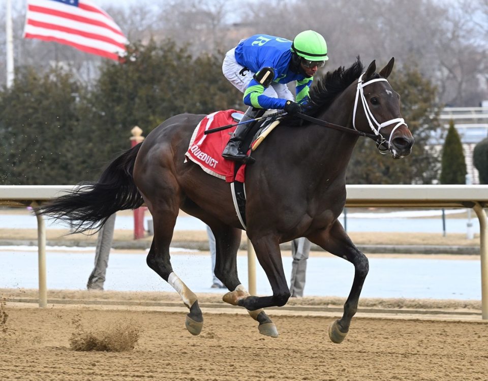 Tizzy in the Sky - Ladies Stakes - Coglianese Photo