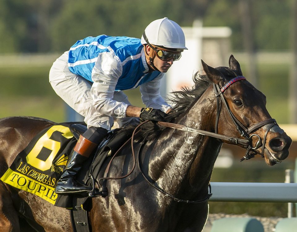 Toupie - Las Cienegas Stakes G3 - Benoit Photo