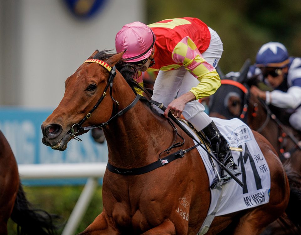 My Wish - Hong Kong Classic Mile - Foto: Hong Kong Jockey Club