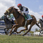 Florida Derby day, Gulfstream Park - Foto: Barbara D. Livingston / Daily Racing Form