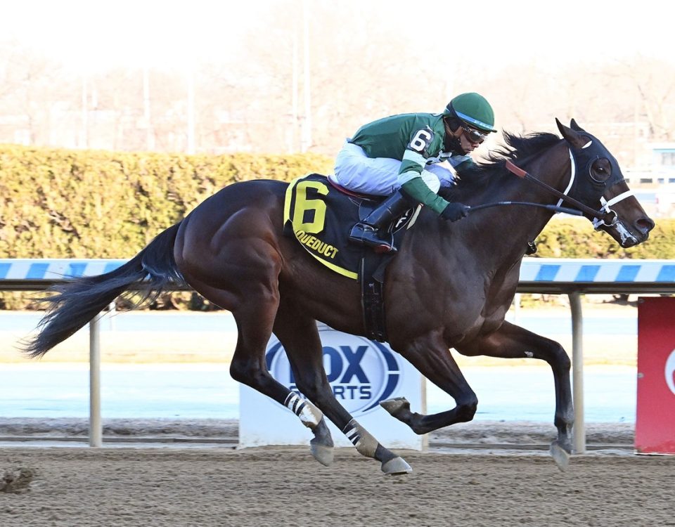 Captain Cook - Withers Stakes - Susie Raisher Coglianese Photo