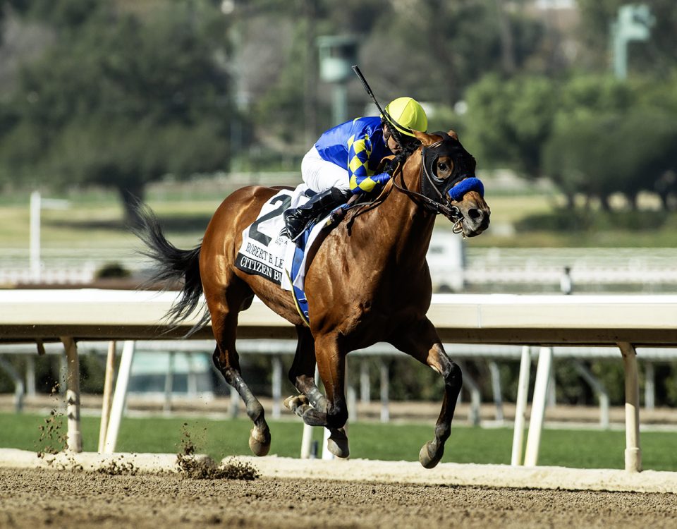 Citizen Bull - Robert B. Lewis Stakes G3 - Benoit Photo