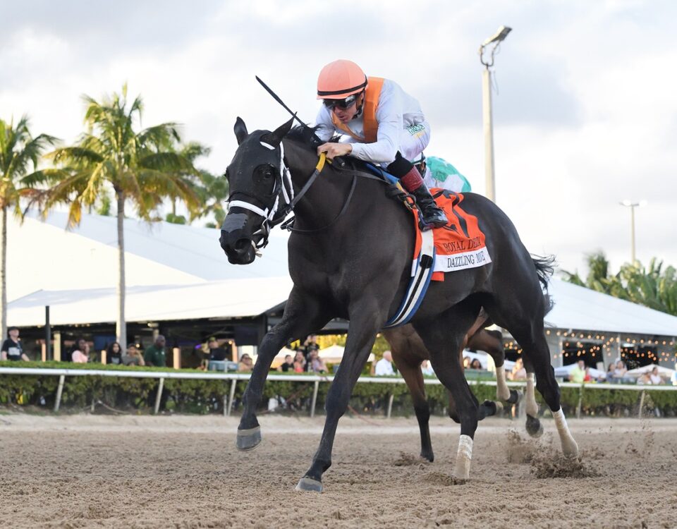 Dazzling Move - Royal Delta Stakes G3 - Ryan Thompson-Coglianese Photo