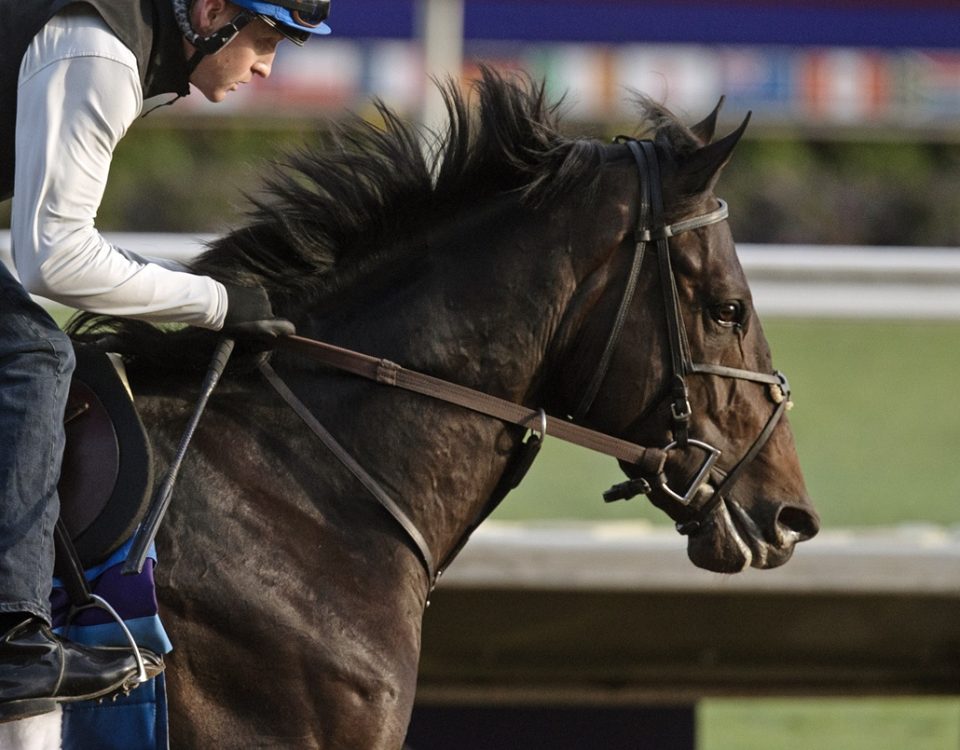 East Avenue - Foto Barbara D. Livingston - Daily Racing Form