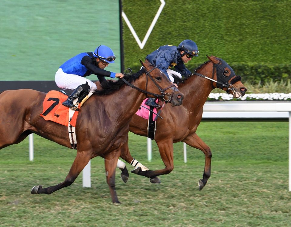 Epona's Hope - Ladies' Turf Sprint Stakes - Lauren King/Coglianese Photo