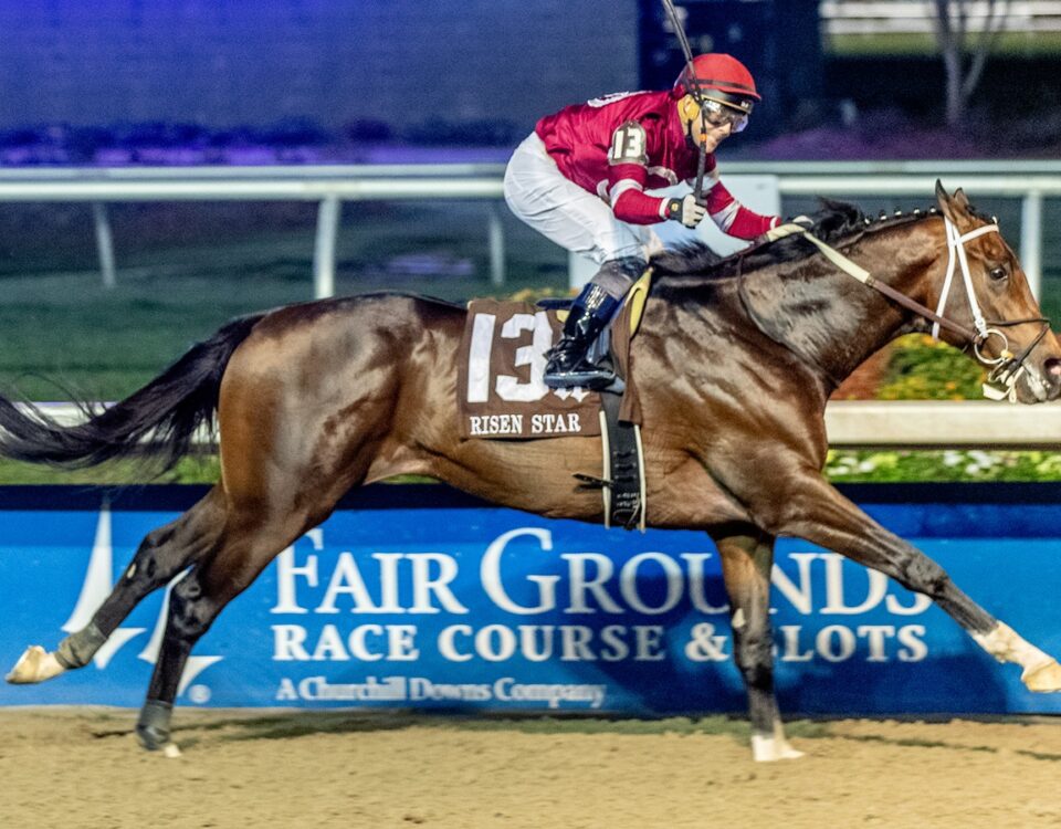 Magnitude - Risen Star G2 - Hodges Photography/Lou Hodges Jr.