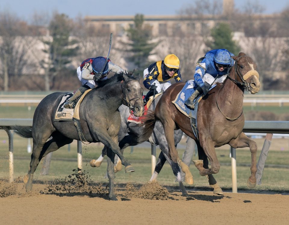 Poster - Barbara D. Livingston - Daily Racing Form