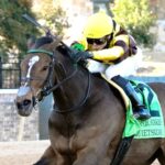 Quietside - Honeybee Stakes G3 - Coady Media