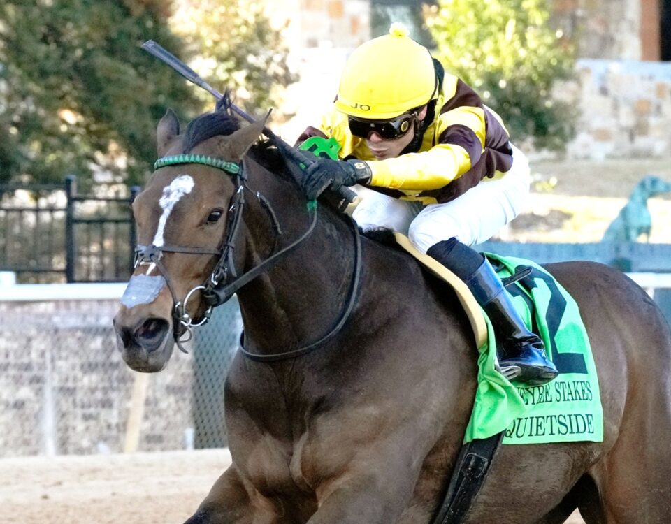 Quietside - Honeybee Stakes G3 - Coady Media