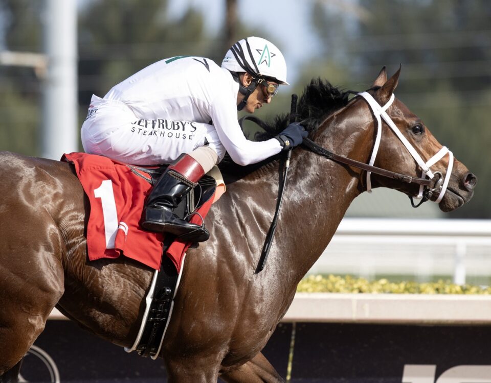 River Thames - Barbara D. Livingston - Daily Racing Form