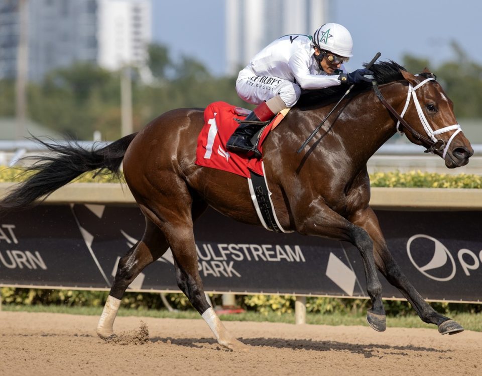 River Thames - Barbara D. Livingston - Daily Racing Form