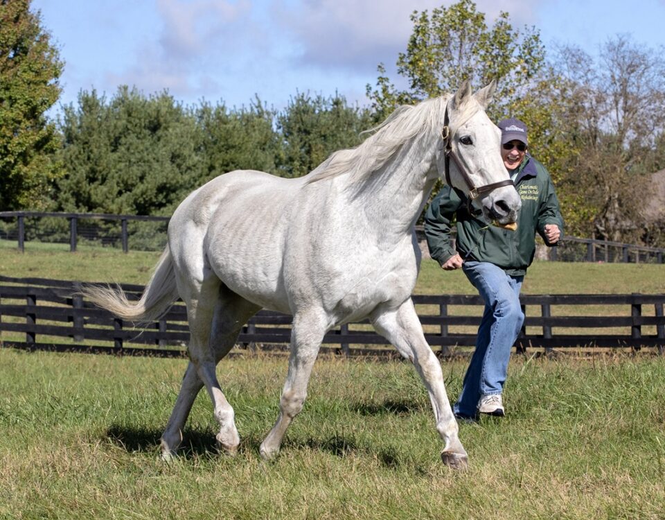 Silver Charm & Michael Blowen - Barbara D. Livingston - Daily Racing Form