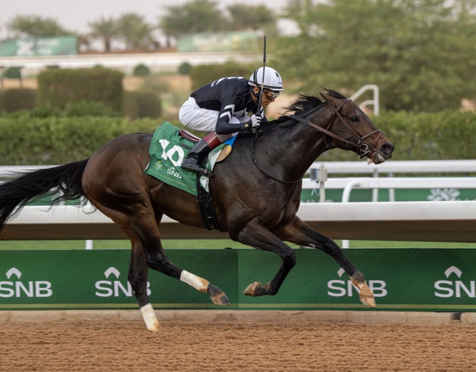 Straight No Chaser - Riyadh Dirt Sprint - Mathea Kelley-JCSA