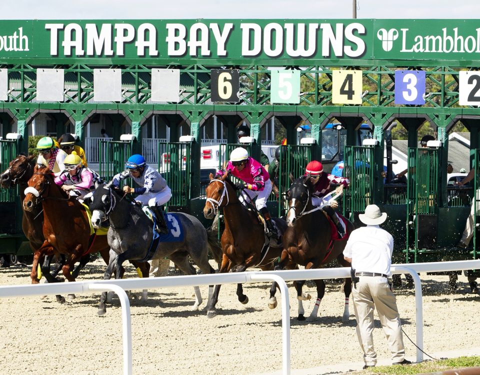 Tampa Bay Downs - Foto Tom Keyser - Daily Racing Form