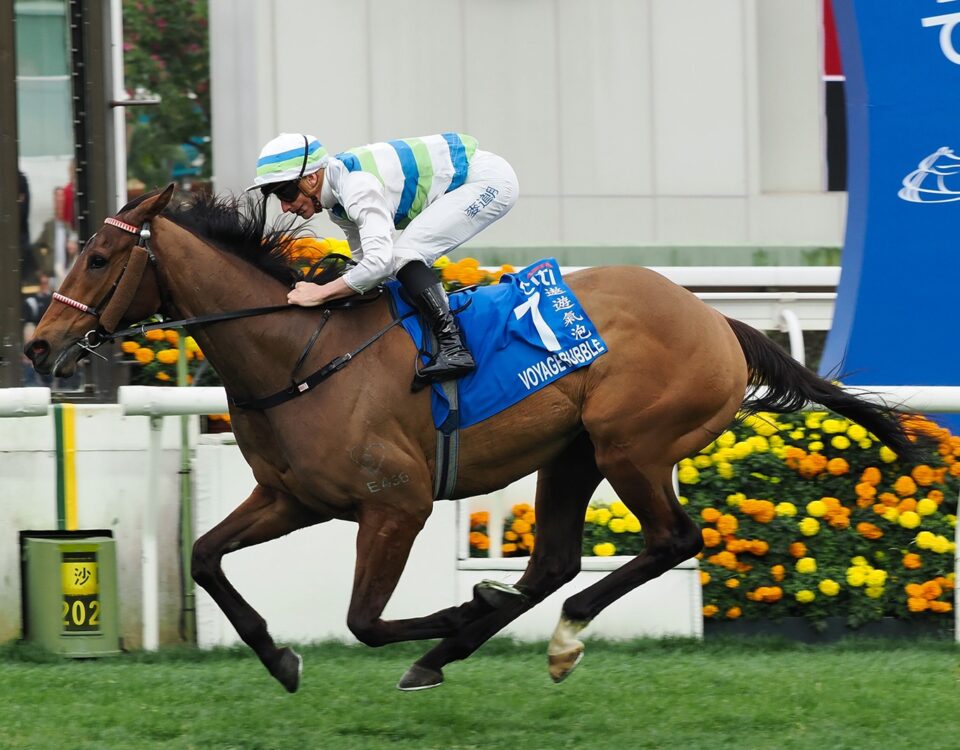 Voyage Bubble - Foto credito HONG KONG RACING