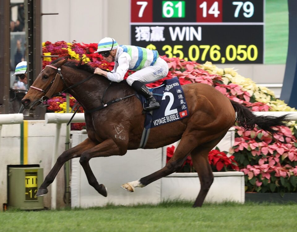 Voyage Bubble - Hong Kong Jockey Club